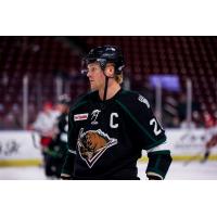 Utah Grizzlies defenseman Josh Wesley