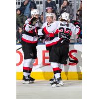 Belleville Senators celebrate a goal