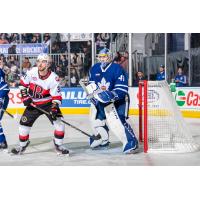 Belleville Senators left wing Jiri Smejkal in front of the Toronto Marlies goal