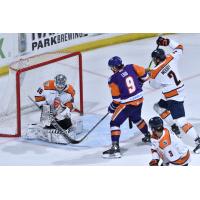 Greenville Swamp Rabbits' Jacob Ingham versus Orlando Solar Bears' Brayden Low