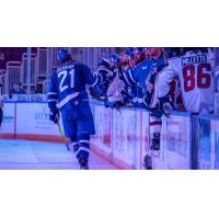 Wichita Thunder's Jay Dickman congratulated by team