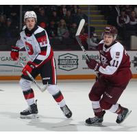 Ottawa 67's' Samuel Mayer and Peterborough Petes' Brody Partridge on game night