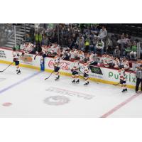 Greenville Swamp Rabbits celebrate win