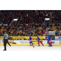 Kitchener Rangers on the ice