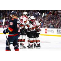 Tucson Roadrunners' Curtis Douglas and Cameron Hebig celebrate with teammates