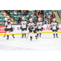 Vancouver Giants on the ice