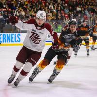 Peterborough Petes right wing Ryder McIntyre vs. the Brantford Bulldogs