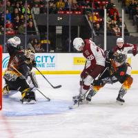 Peterborough Petes left wing Aidan Young readies a shot vs. the Brantford Bulldogs