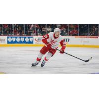 Grand Rapids Griffins left wing Tim Gettinger