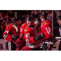 Rockford IceHogs celebration