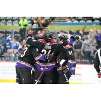 Tucson Roadrunners celebrate