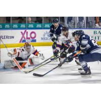 Worcester Railers look for an opening against the Reading Royals