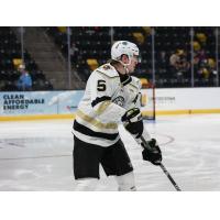 Wheeling Nailers defenseman David Drake