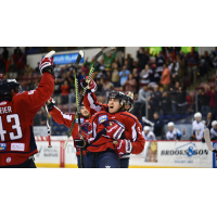 South Carolina Stingrays react after a goal agianst the Toledo Walleye