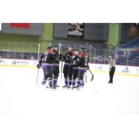 Tucson Roadrunners' Cam Crotty celebrates with team