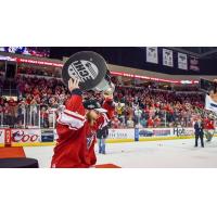 Chad Costello hoists the Kelly Cup in 2016