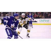 Defenseman Jared McIsaac with the Providence Bruins