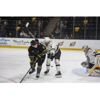 Iowa Heartlanders' Pavel Novak versus Wheeling Nailers' Davis Bunz