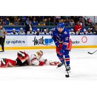 Kitchener Rangers' Eduard Sale in action