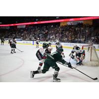 Kelowna Rockets battle the Everett Silvertips