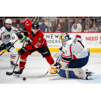 Springfield Thunderbirds goaltender Vadim Zherenko vs. the Charlotte Checkers