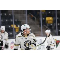 Wheeling Nailers' Matt Koopman on game night