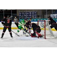 Worcester Railers and the Adirondack Thunder in action