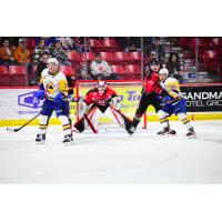 Saskatoon Blades battle the Moose Jaw Warriors