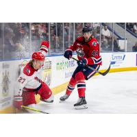 Justin Allen of the Allen Americans (left) and Ayden MacDonald of the Kalamazoo Wings