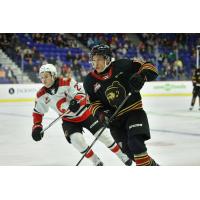 Prince George Cougars' Riley Heidt and Vancouver Giants' Cameron Schmidt on game night