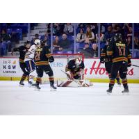 Vancouver Giants goaltender Brett Mirwald