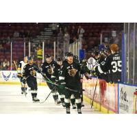 Utah Grizzlies along the bench