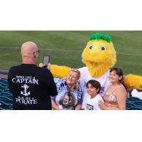 Jersey Shore BlueClaws Mascot Buster