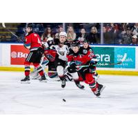 Kelowna Rockets right wing Andrew Cristall eyes the puck