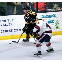 Wheeling Nailers' Justin McRae and Kalamazoo Wings' Quinn Preston in action