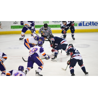 South Carolina Stingrays battle the Orlando Solar Bears