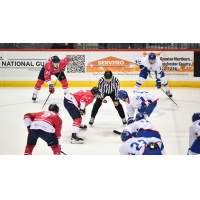 South Carolina Stingrays face off with the Trois-Rivieres Lions