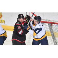 Adirondack Thunder's Cameron Cook battles Norfolk Admirals' Simon Kubicek