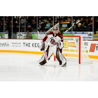 Peterborough Petes' Zachary Bowen on the ice