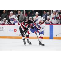 Belleville Senators' Garrett Pilon versus Laval Rocket's Philippe Maillet