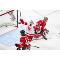 Grand Rapids Griffins' Tyler Spezia and Rockford IceHogs' Louis Crevier and Drew Commesso on the ice