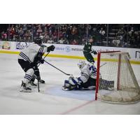 Wenatchee Wild's Brendan Gee in action