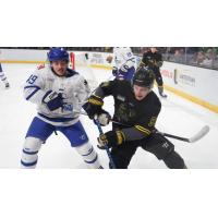 Wichita Thunder battle the Iowa Heartlanders