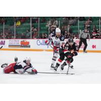 Belleville Senators right wing Garrett Pilon reaches for the puck against the Hartford Wolf Pack