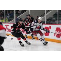 Belleville Senators battle the Hartford Wolf Pack