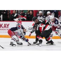 Belleville Senators face off with the Hartford Wolf Pack