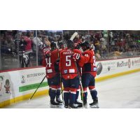 South Carolina Stingrays celebrate a goal