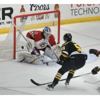 Wheeling Nailers forward Jordan Martel scores against the Cincinnati Cyclones