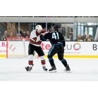 Tucson Roadrunners forward Jan Jenik (left) fights the San Jose Barracuda