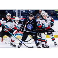 Kelowna Rockets stack the defence against the Wenatchee Wild